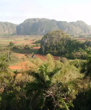 Bei den Tabakbauern in Viñales